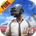 pubg(国际服)绝地求生下载正式正版2022