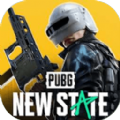 PUBG New State双十一测试服手游最新版