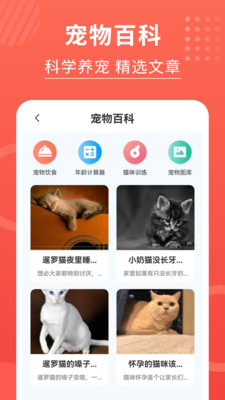 喵星人翻译器app