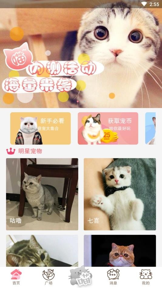 猫咪汇