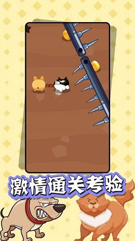 猫狗大乱斗