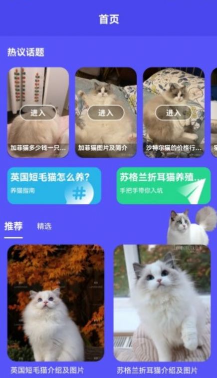 小奶猫呀