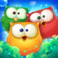 猫头鹰消消乐游戏最新版（Owl Pop Blast）