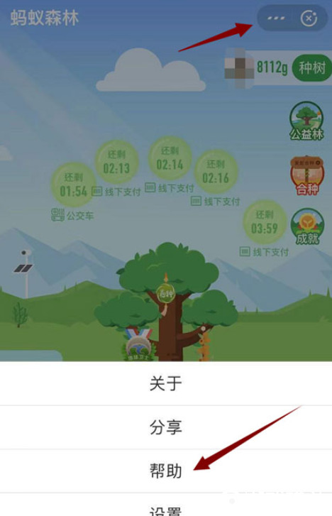 蚂蚁森林规则明细在哪里查看（查看教程分享）