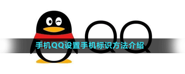 手机QQ设置手机标识方法介绍