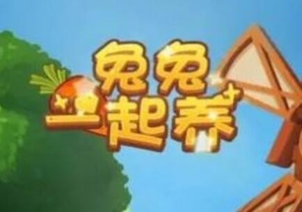 一起养兔兔