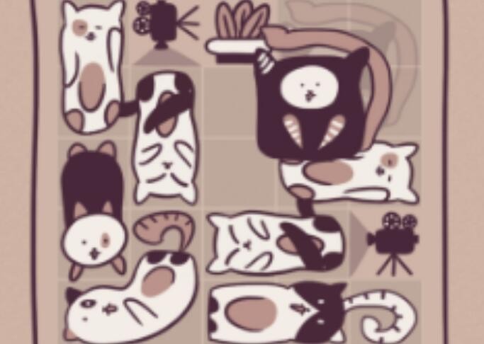 井然有猫
