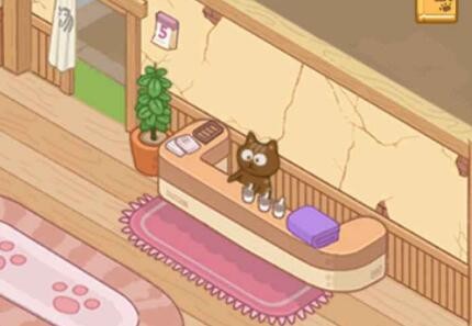 猫咪澡堂