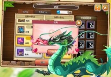 育龙高手