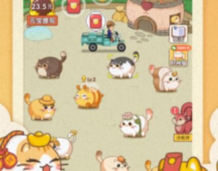 幸福猫舍