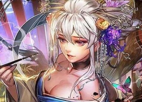 三国后宫妃传