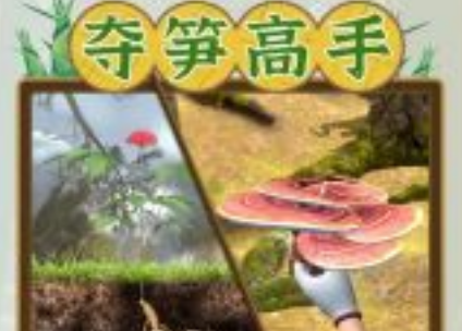 夺笋高手