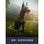 《黑色沙漠手游》库尼特杜培勒曼任务怎么做-完成攻略
