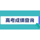 支付宝怎么查2022高考成绩