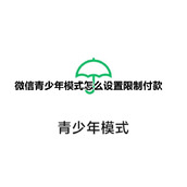 微信青少年模式怎么设置限制付款