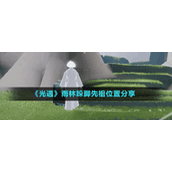《光遇》雨林捉迷藏先祖位置介绍