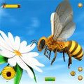 Honey Bee Bug Games游戏官方安卓版