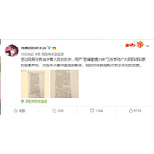 阴阳师回应建模苍蝇小妹事件详细过程