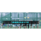 飞盘媛梗出处含义介绍