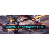 《王者荣耀》后羿无尽星芒皮肤价格介绍