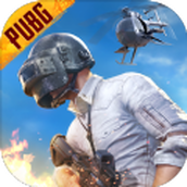 pubg2.1国际服手游下载最新版