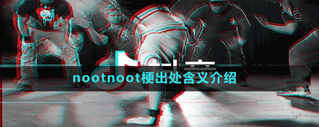 nootnoot梗出处含义介绍