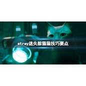stray躲猫猫怎么操作