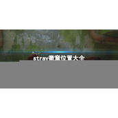 stray徽章怎么找