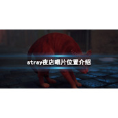 stray夜店唱片怎么找