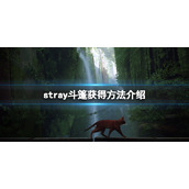 stray斗篷在哪获取