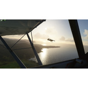 Microsoft Flight Simulator