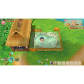 STORY OF SEASONS Friends of Mineral Town