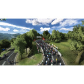 Pro Cycling Manager 2019 Download Game for PC