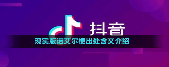 现实版诺艾尔梗出处含义介绍