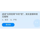 蚂蚁庄园2022年7月25日答案解析-蚂蚁庄园7.25成语“光阴荏苒”中的“荏”,其实是哪种常见植物