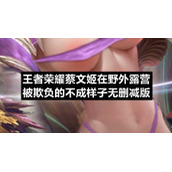 王者荣耀蔡文姬在野外露营被欺负的不成样子无删减版