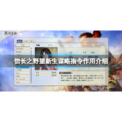 《信长之野望新生》谋略有哪些？谋略指令作用介绍