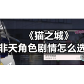 《猫之城》非天角色剧情怎么选