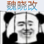 bvn魏晓改官网版