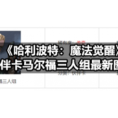 《哈利波特：魔法觉醒》伙伴卡马尔福三人组全新图鉴