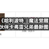 《哈利波特：魔法觉醒》伙伴卡弗雷兄弟全新图鉴