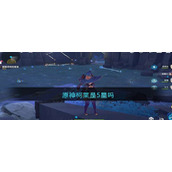 原神柯莱是5星吗