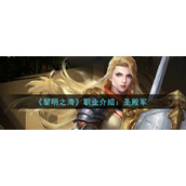 《黎明之海》职业介绍：圣殿军