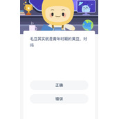 《蚂蚁新村》8.1毛豆其实就是青年时期的黄豆对吗