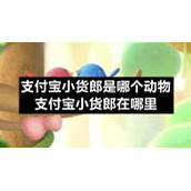 支付宝小货郎是哪个动物-支付宝小货郎在哪里
