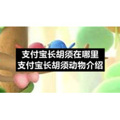 支付宝长胡须在哪里-支付宝长胡须动物介绍