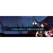 《忍者必须死3》洛青宝物搭配推荐