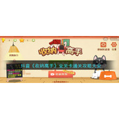抖音《收纳高手》全关卡通关攻略大全
