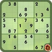 Best Sudoku