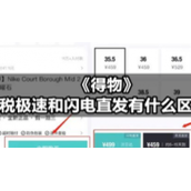 《得物》保税极速和闪电直发有什么区别